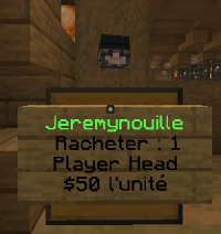 Exemple de shop